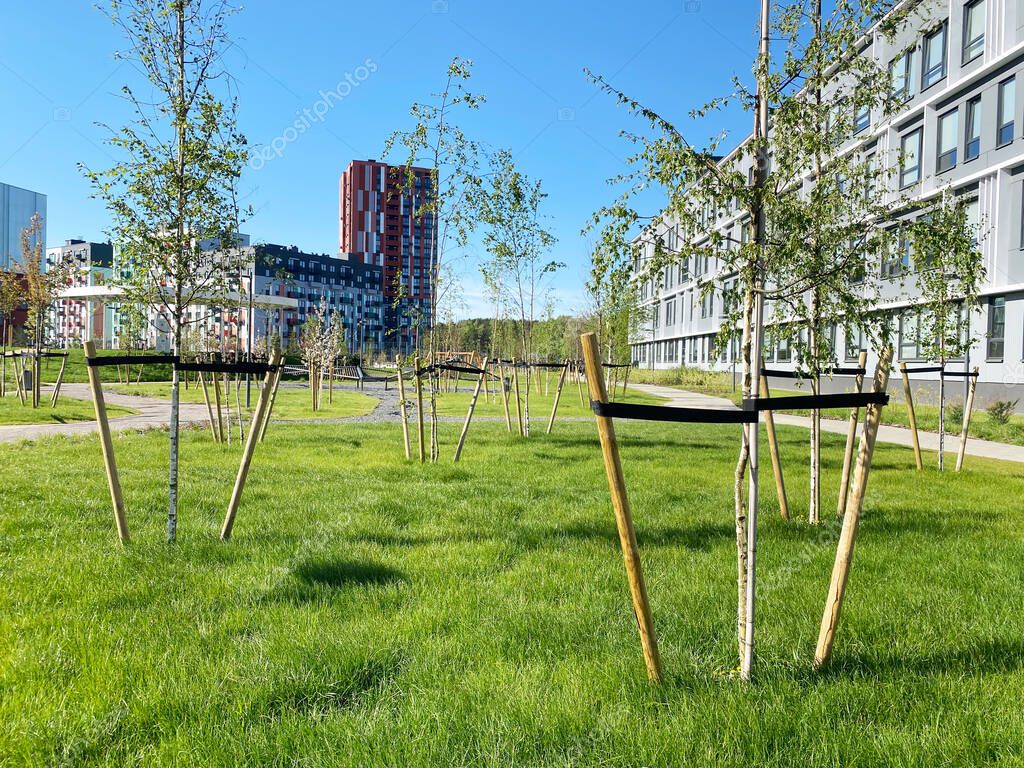 Zona ajardinada con árboles bien mantenidos frente a una comunidad de vecinos