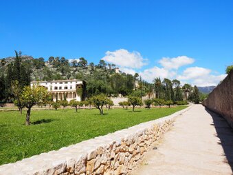 Desbrozamos fincas y parcelas