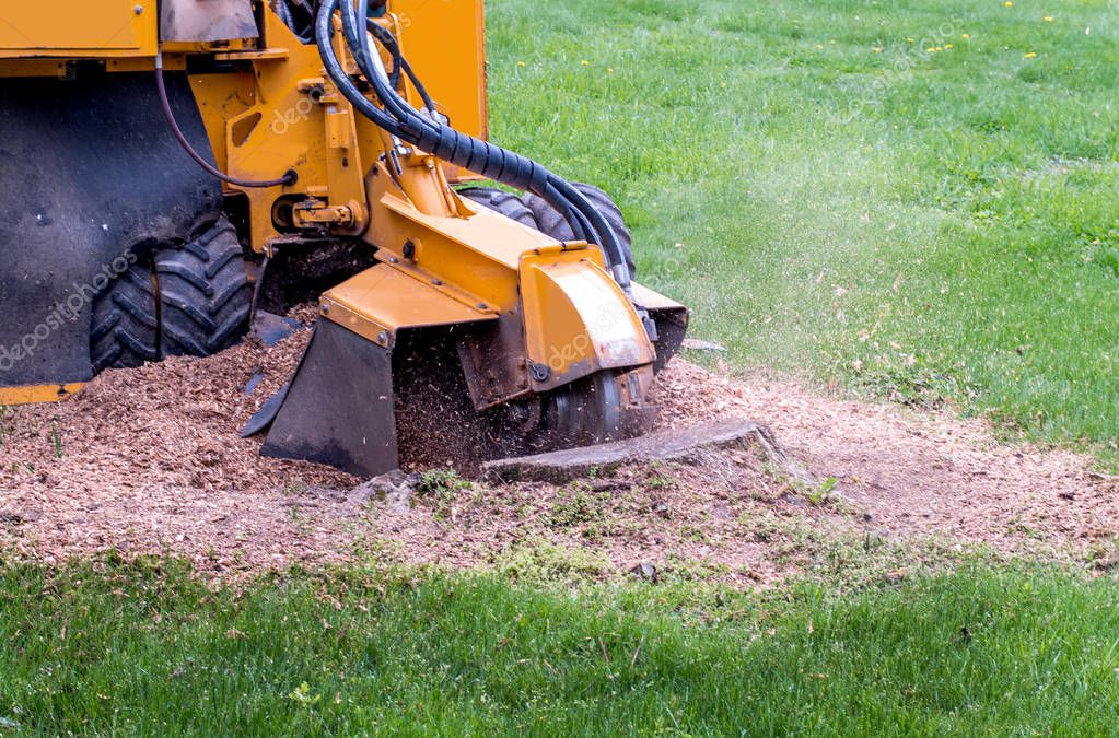 Máquina realizando destoconado de un árbol