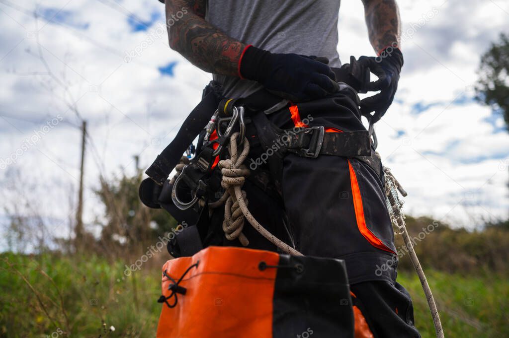 Técnico de arboricultura trepando un árbol con cuerdas